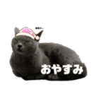 キララstyle（個別スタンプ：6）