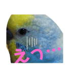 ココかお（個別スタンプ：6）