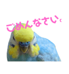 ココかお（個別スタンプ：8）