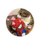 ドS猫の球太7（個別スタンプ：8）