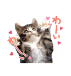 魔女の子5（個別スタンプ：23）