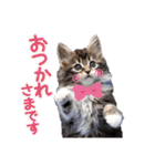 魔女の子5（個別スタンプ：30）