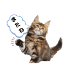 魔女の子5（個別スタンプ：39）