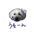 ハラダロンくん（個別スタンプ：7）