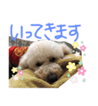 ハラダロンくん（個別スタンプ：10）