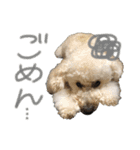 ハラダロンくん（個別スタンプ：11）
