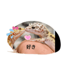 カワイイトカゲ 爬虫類（個別スタンプ：8）