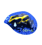爬虫類 両生類 スタンプ（個別スタンプ：3）
