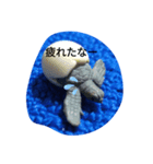 爬虫類 両生類 スタンプ（個別スタンプ：5）