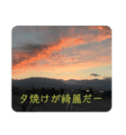 感性磨き（個別スタンプ：5）