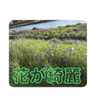 感性磨き（個別スタンプ：6）