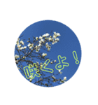 感性磨き（個別スタンプ：7）