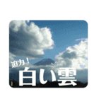 感性磨き（個別スタンプ：8）