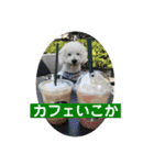 毎日使えるぷぷくんすたんぷ（個別スタンプ：22）