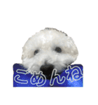 毎日使えるぷぷくんすたんぷ（個別スタンプ：26）