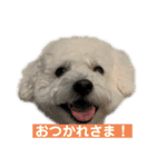 毎日使えるぷぷくんすたんぷ（個別スタンプ：29）