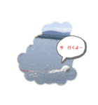 ビション チャチャ（個別スタンプ：8）