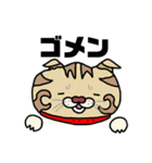 cat cat cat_kazusandraw（個別スタンプ：9）