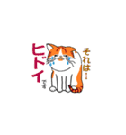 我が家の猫さんスタンプ（個別スタンプ：19）