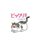 我が家の猫さんスタンプ（個別スタンプ：33）