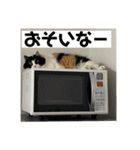 タイガーとよそもの日常（個別スタンプ：20）