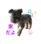 ルーシ（個別スタンプ：2）