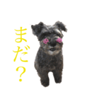 ルーシ（個別スタンプ：3）