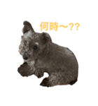 ルーシ（個別スタンプ：4）