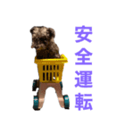 ルーシ（個別スタンプ：5）