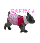 ルーシ（個別スタンプ：8）