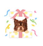 うちのまろスタンプ2（個別スタンプ：34）