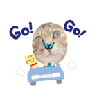 メルメル子（個別スタンプ：5）
