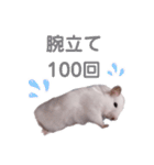 しろいカルちゃん（個別スタンプ：10）
