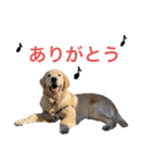 カイスタver.1（個別スタンプ：14）