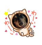 りっちスタンプ2（個別スタンプ：1）