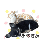 もぐちゃんのいろいろスタンプ（個別スタンプ：4）