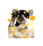 もぐちゃんのいろいろスタンプ（個別スタンプ：8）