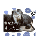 もぐちゃんのいろいろスタンプ（個別スタンプ：14）