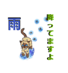 うちに出入りする野良猫たちの毎日2（個別スタンプ：8）