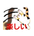 うちに出入りする野良猫たちの毎日2（個別スタンプ：10）