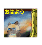うちに出入りする野良猫たちの毎日2（個別スタンプ：11）