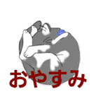 うちに出入りする野良猫たちの毎日2（個別スタンプ：12）