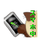 うちに出入りする野良猫たちの毎日2（個別スタンプ：14）