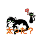 うちに出入りする野良猫たちの毎日2（個別スタンプ：25）
