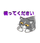 うちに出入りする野良猫たちの毎日2（個別スタンプ：26）