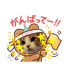 ネコちゃんと日常生活。（個別スタンプ：5）