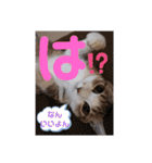 ネコちゃんと日常生活。（個別スタンプ：9）