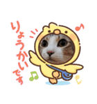 ネコちゃんと日常生活。（個別スタンプ：16）
