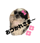 ちくわちゃぁん！（個別スタンプ：6）