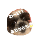 ちくわちゃぁん！（個別スタンプ：7）